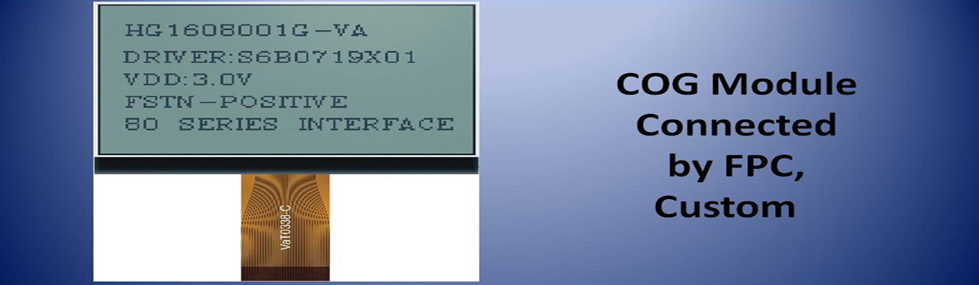COG Module Connected by FPC, Custom